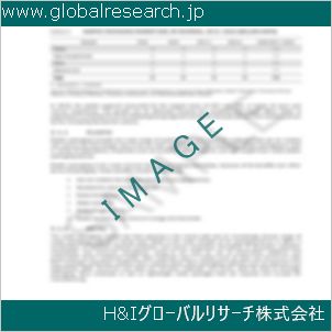 グローバルリサーチ調査資料のイメージ